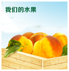 我们的水果
